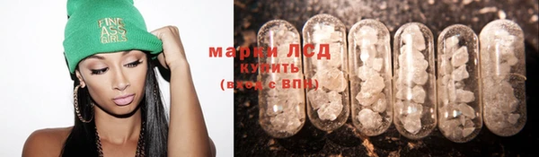мяу мяу мука Абаза
