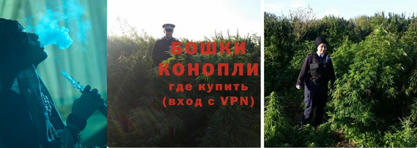 мяу мяу мука Абаза
