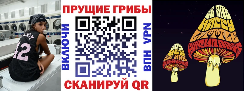 Псилоцибиновые грибы GOLDEN TEACHER  МЕГА зеркало  Ессентукская 